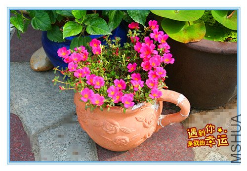 ��Ƭ 006_����2.jpg