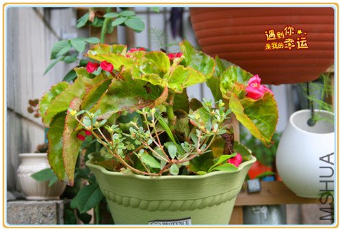 ��Ƭ 031_����2.jpg