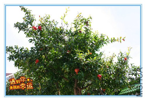 ��Ƭ 033_����.jpg