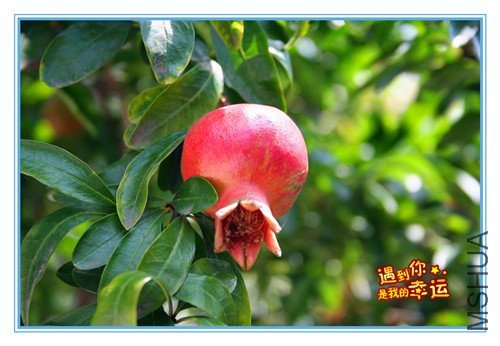 ��Ƭ 034_����.jpg