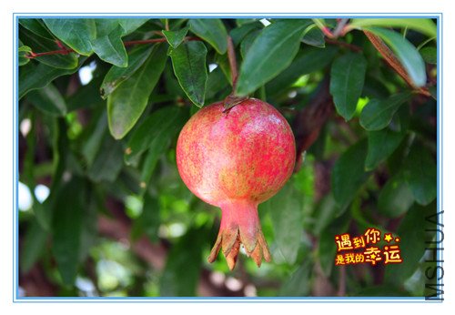 ��Ƭ 036_����.jpg