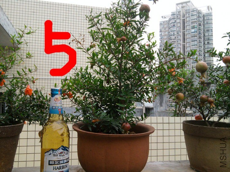 5