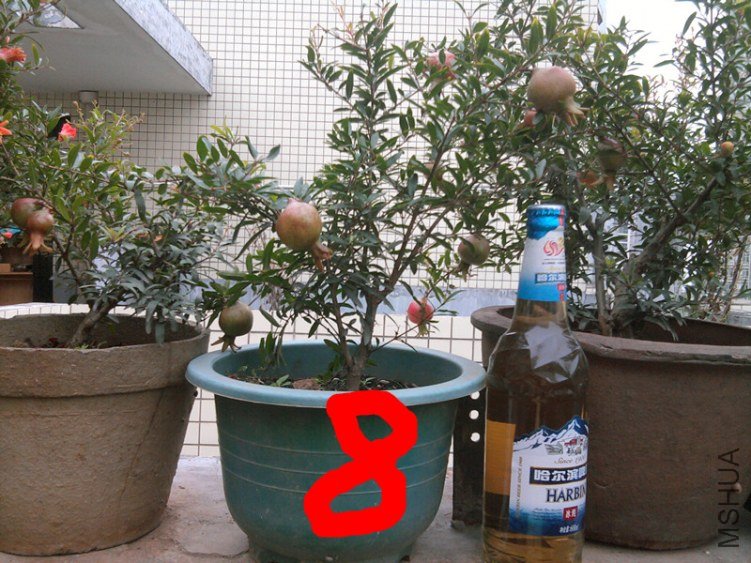 8