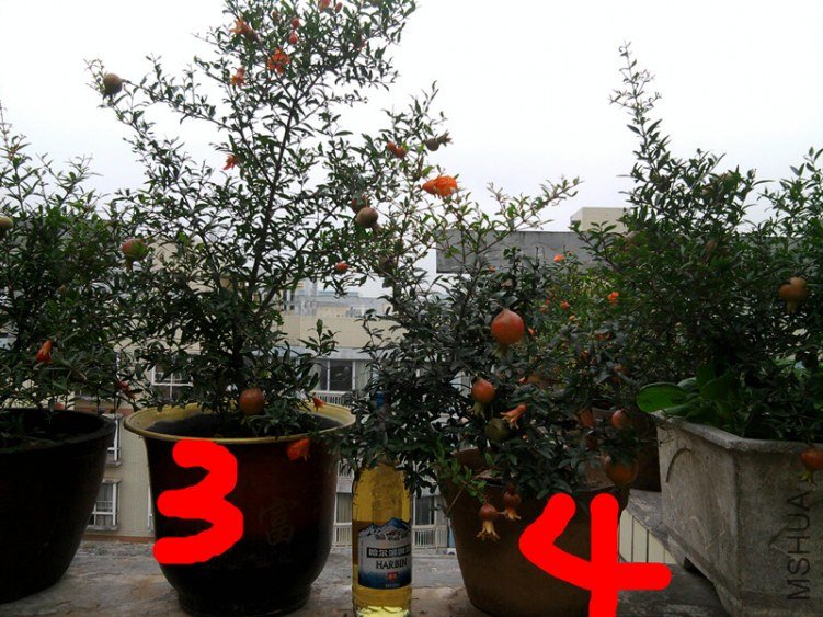 3��4