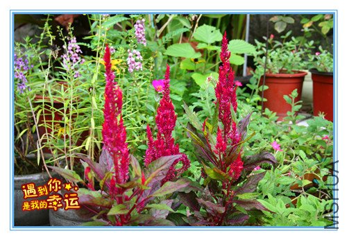 ��Ƭ 051_����.jpg