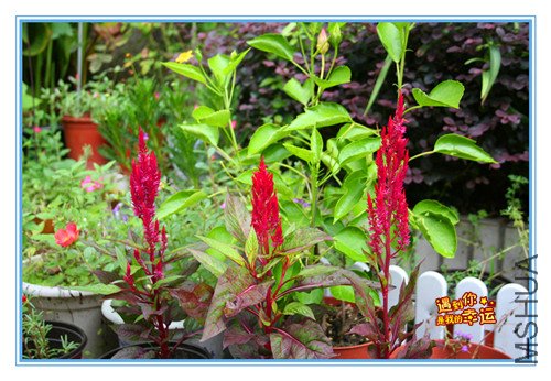 ��Ƭ 053_����.jpg