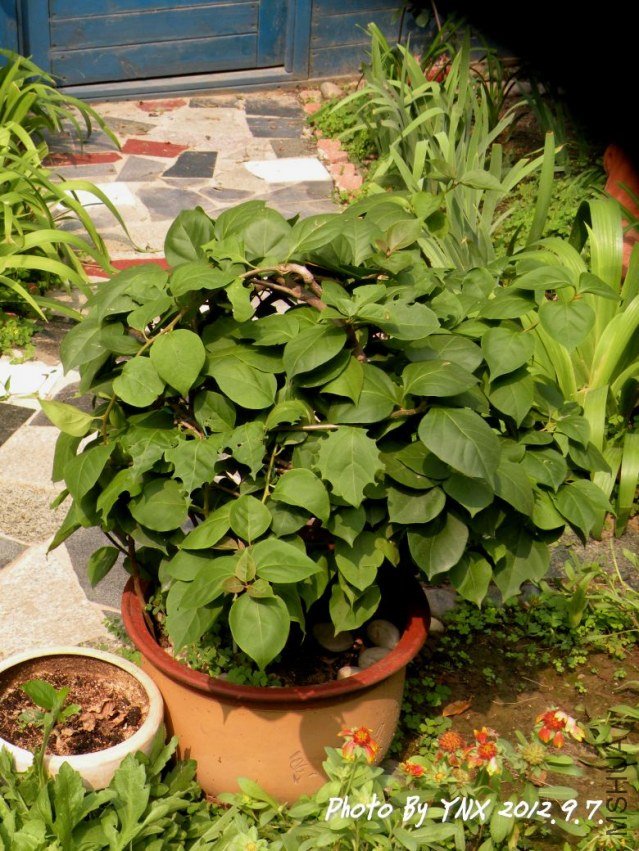 2012.9.9 004_��.jpg