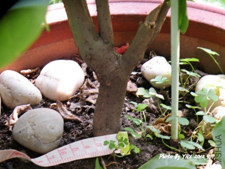 2012.9.9 002_����÷.jpg