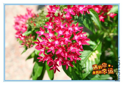 ��Ƭ 023_����.jpg