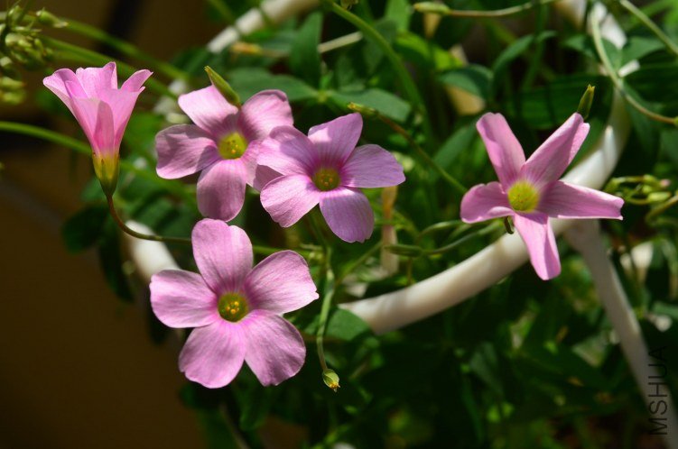 ������20120911 003.JPG