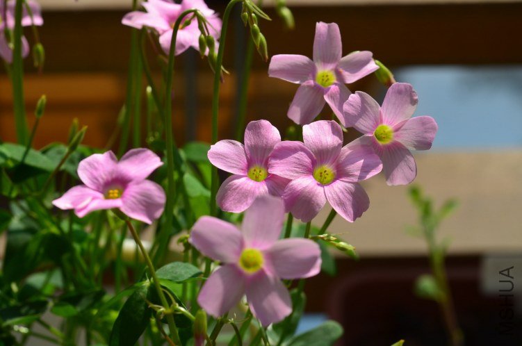 ������20120911 002.JPG