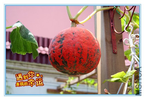 ��Ƭ 047_����.jpg