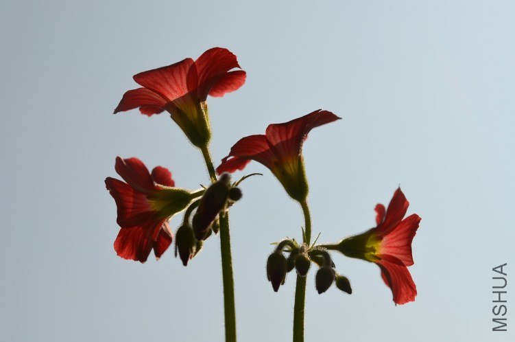 С�ձ�201200911 007.JPG