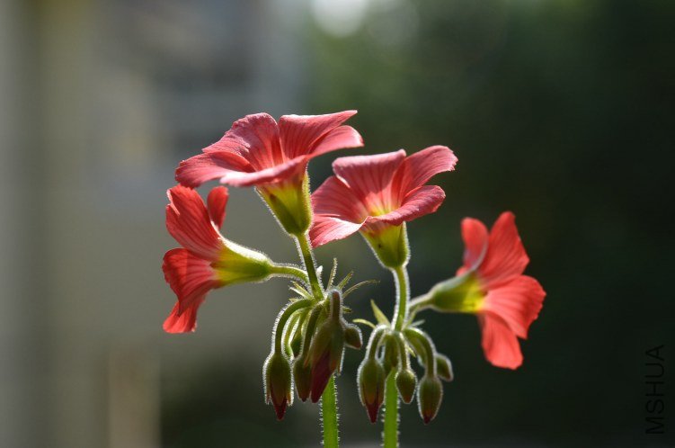 С�ձ�201200911 002.JPG