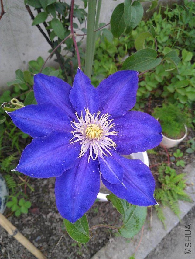IMAG0601.jpg