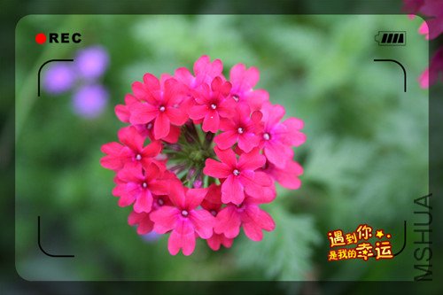 ��Ƭ 009_����.jpg