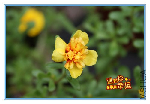 ��Ƭ 016_����.jpg