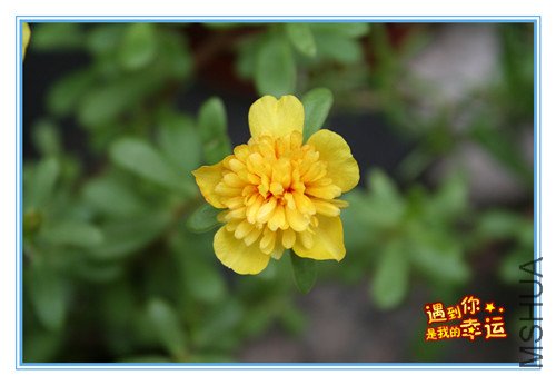 ��Ƭ 018_����2.jpg