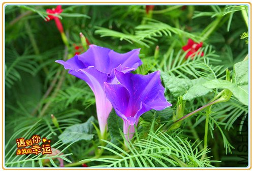 ��Ƭ 056_����.jpg