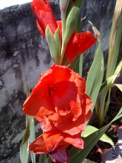 ������С 201209093473.jpg