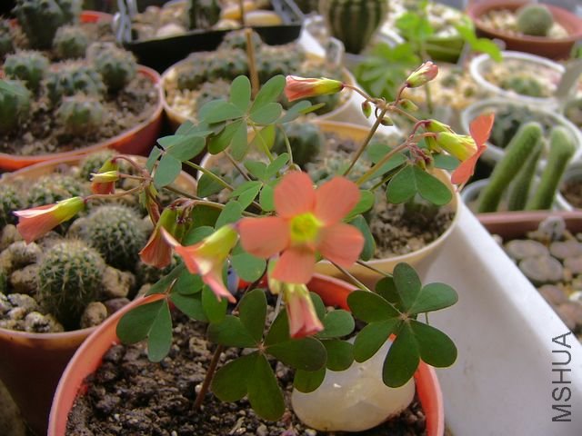 P1150120.JPG