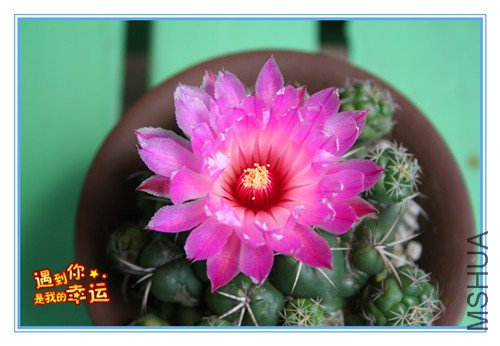 ��Ƭ 016_����.jpg