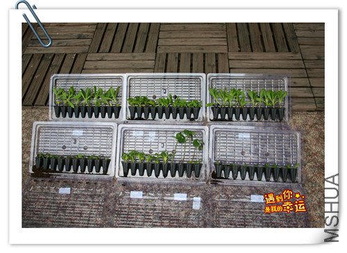 ��Ƭ 002_����.jpg