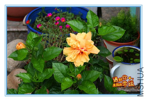 ��Ƭ 002_����.jpg