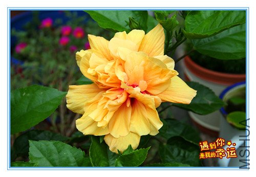 ��Ƭ 003_����2.jpg