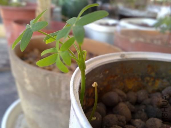 ������С 201209123533.jpg