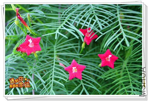 ��Ƭ 059_����.jpg