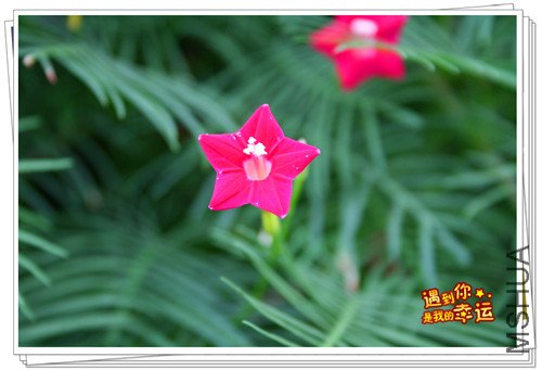 ��Ƭ 060_����.jpg