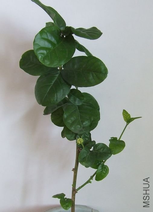 DSCF4718.JPG