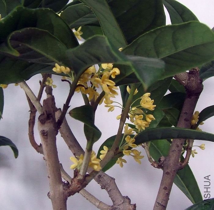 DSCF4855.JPG