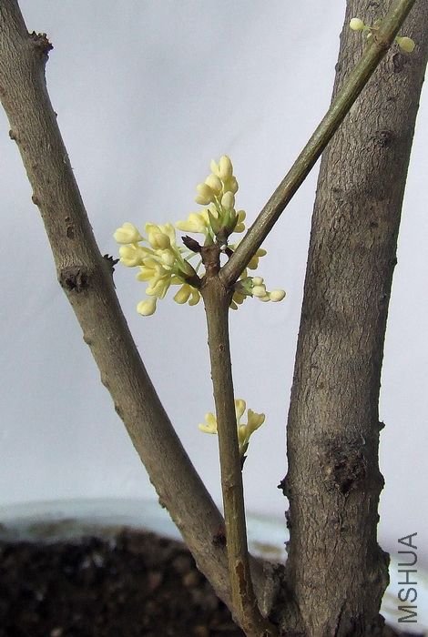 DSCF4856.JPG