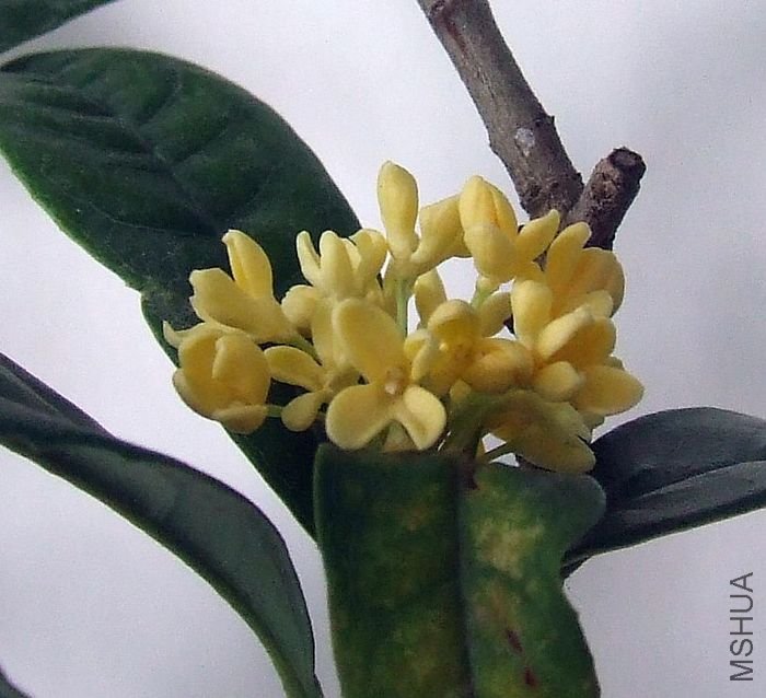 DSCF4858.JPG
