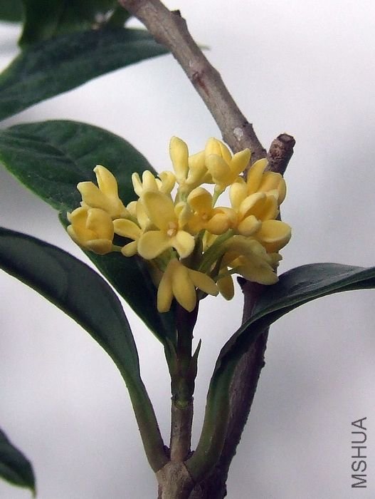 DSCF4862.JPG