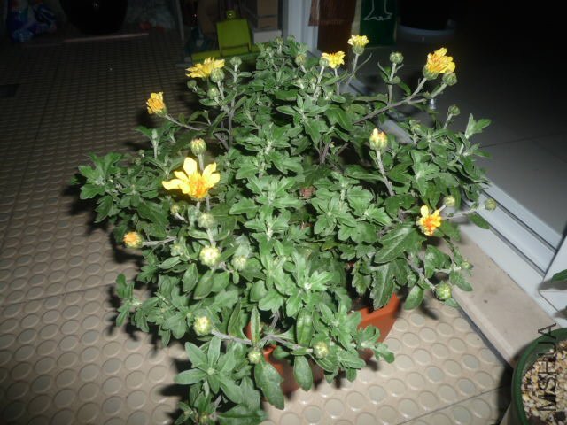 P1060819.JPG