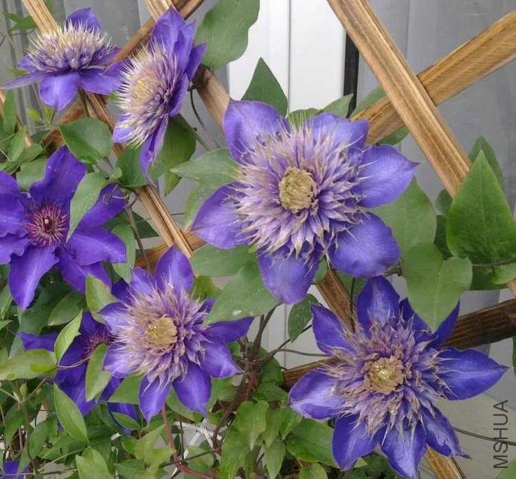 201204293407--.jpg