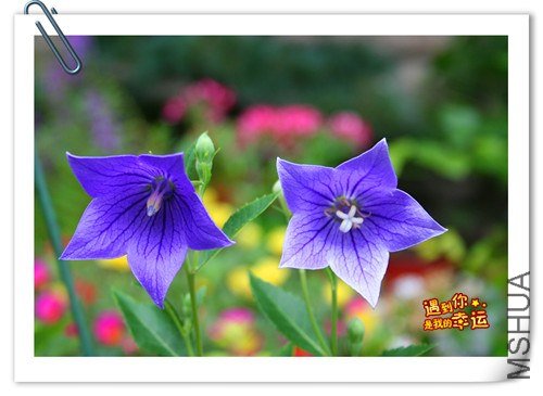 ��Ƭ 013_����.jpg