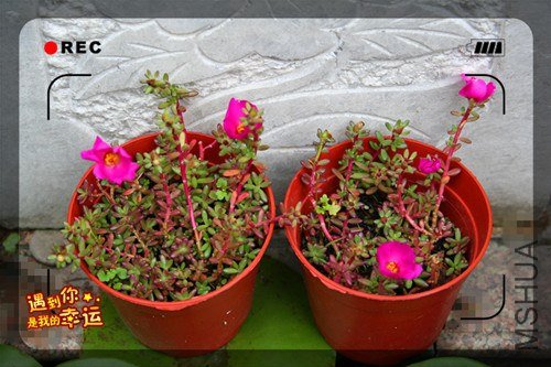 ��Ƭ 014_����.jpg