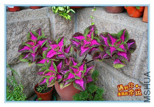 ��Ƭ 023_����2.jpg