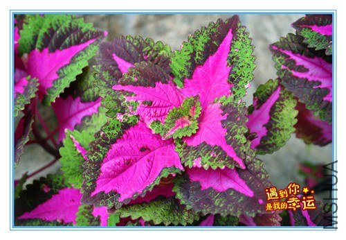 ��Ƭ 025_����.jpg