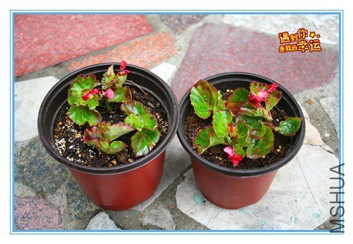 ��Ƭ 028_����.jpg