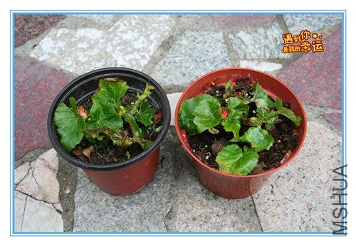 ��Ƭ 029_����.jpg