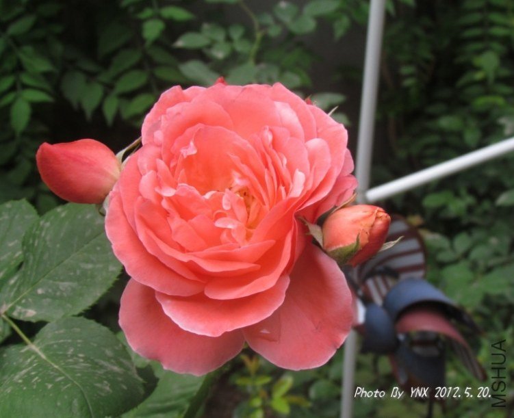 2012.5.20. 010_conew2.jpg
