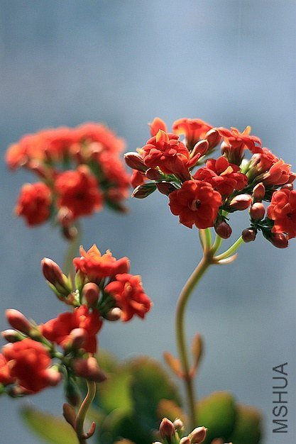IMG_7628.jpg
