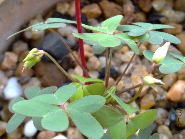 ������С 201209133551.jpg