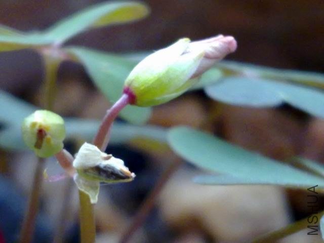 ��ϧ��һ��������