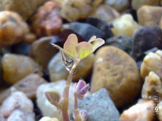 ������С 201209133560.jpg